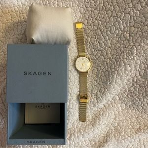 Skagen ‘Rungsted’ Mesh strap Watch